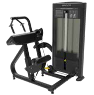FS28 45 Degree Triceps Extension