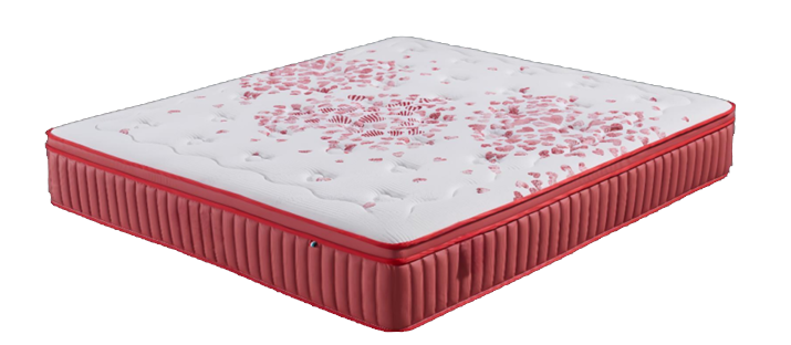 Intelligent Mattress with Pleasure
