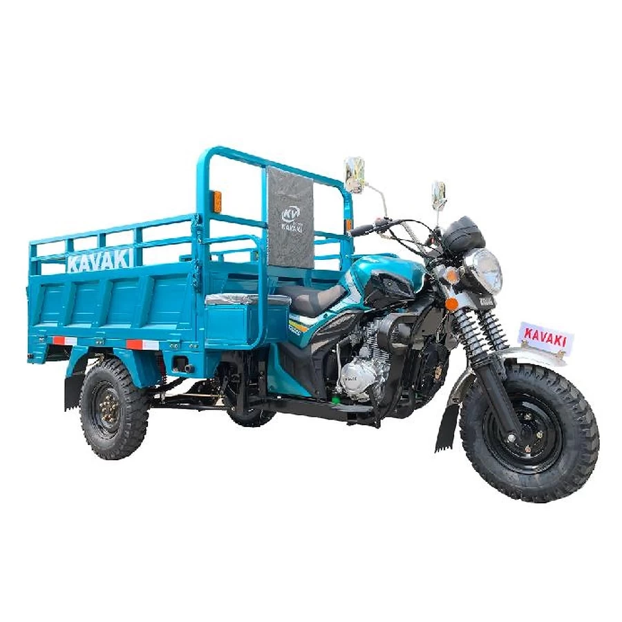 Heavy-Duty Cargo Tricycle - DJL200