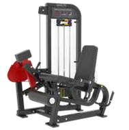 FM90 Prone Leg Curl/ Seated Extention