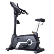 Upright Bike CC10