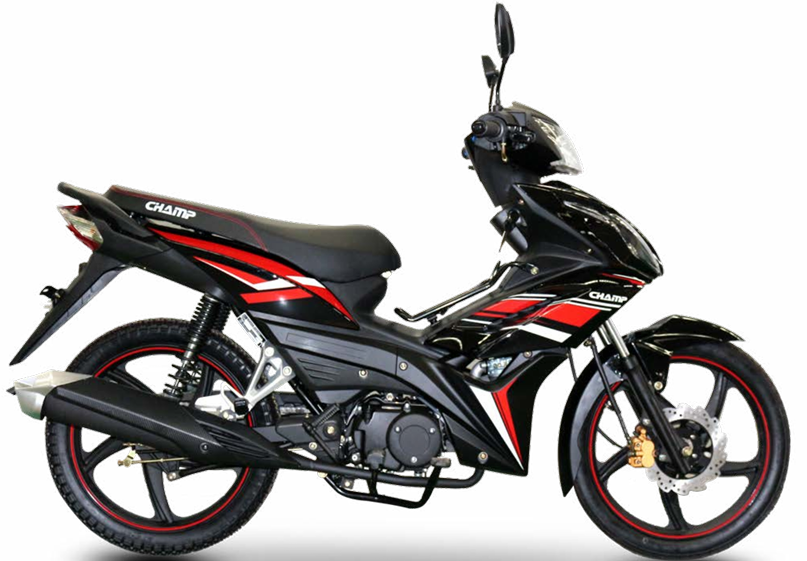 Cub Bikes CM110-8B(Asian Eagle)