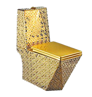 GOLD SERIES TWO-PIECE TOILET