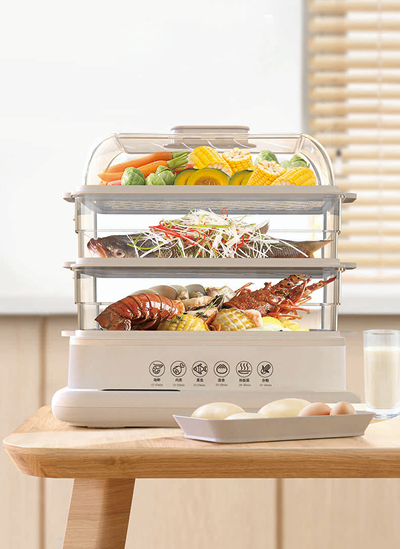 Electric Food Steamer