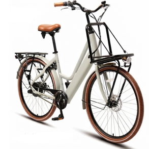 Amsterdam Fiets M belt  Dutch SYIe City e Bikes