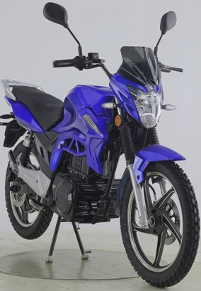 Electric Street Bike