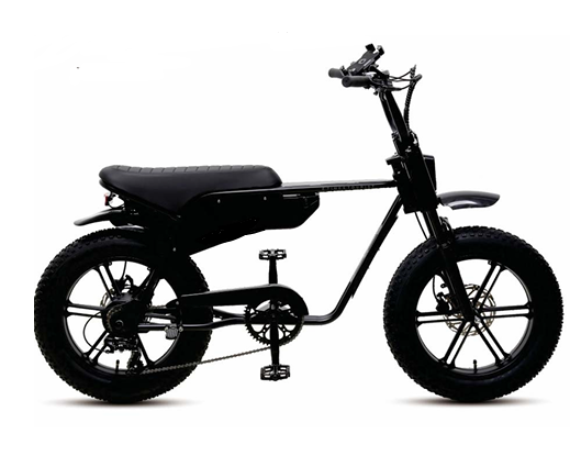 e Times Tourist 750 Motorcycle Style e Fat Bike
