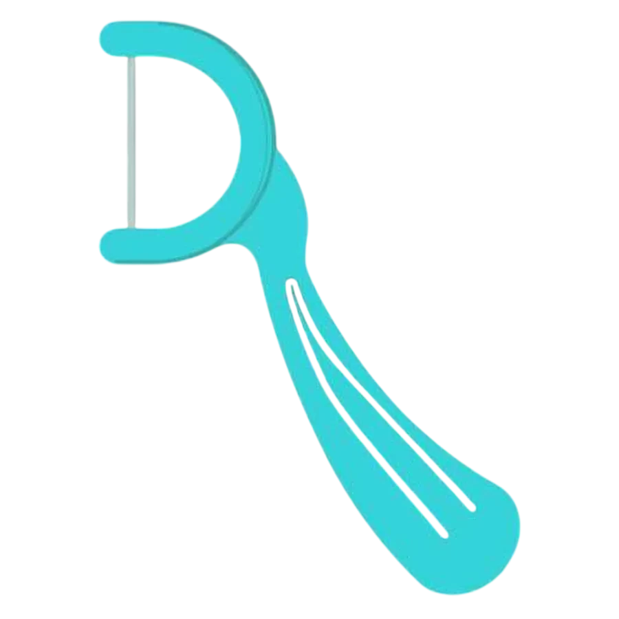 Adult Dental Floss Picks